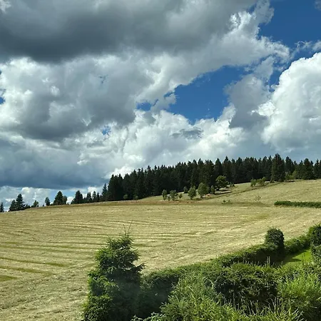 Galla * Horní Blatná