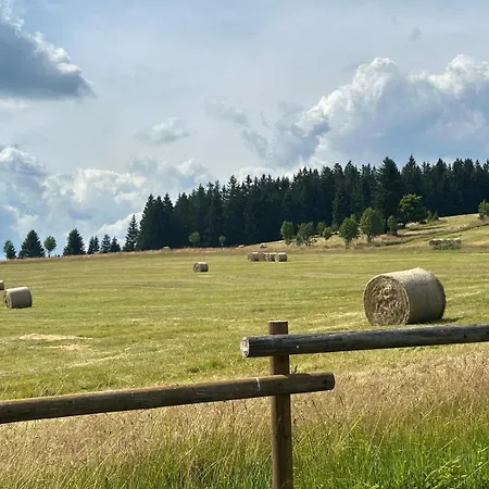 Galla Horní Blatná