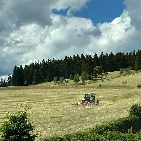 Galla * Horní Blatná