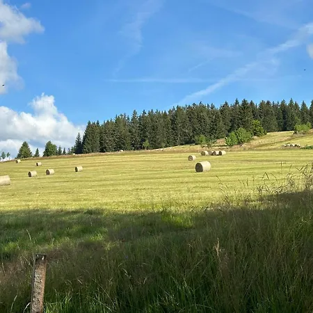 Galla Horni Blatna