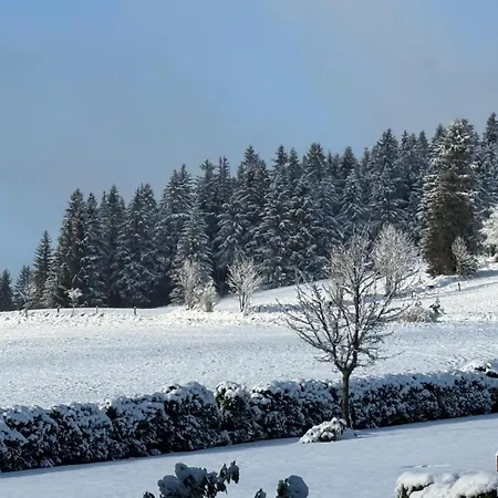 Chalet Galla *