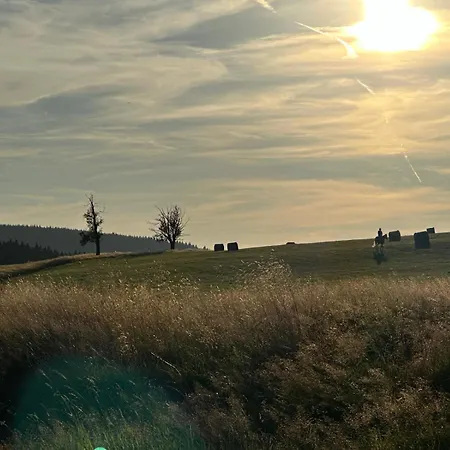 Galla Horní Blatná
