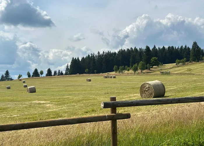 Galla Horní Blatná