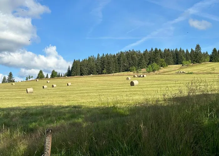 Galla Horní Blatná
