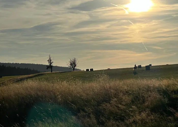 Galla Horní Blatná